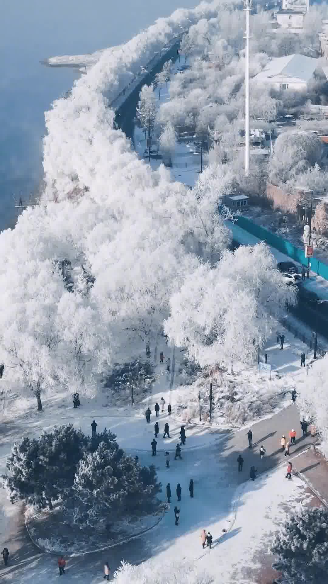 外交部发言人点赞吉林,绿色崛起中的东北明珠